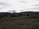 scenery2.jpg