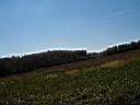 P1010015.JPG