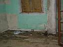 P1010016.JPG