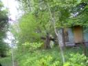 013-oldhouse.jpg