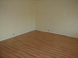 3side-of-livingroom-af.JPG